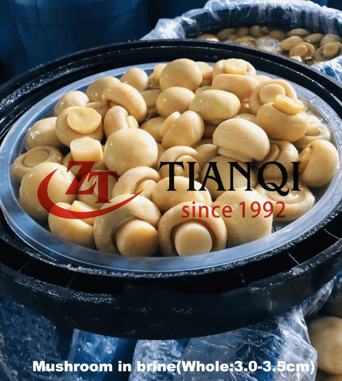 Competitive Price Mushroom In Brine In Barrel Competitive Price Mushroom In Brine In Barrel