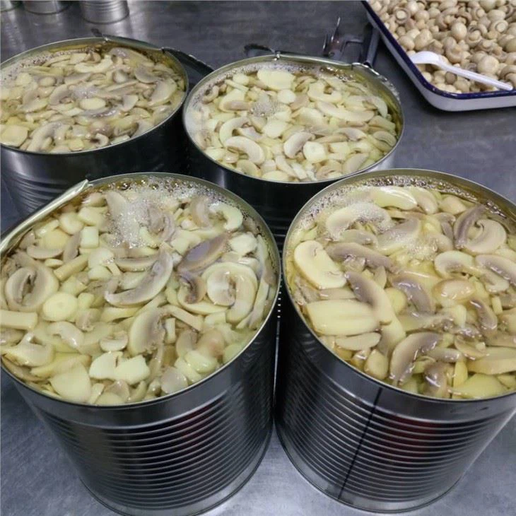 400g Canned Whole Mushroom From China